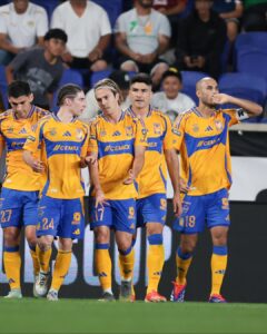 ¿CUÁNDO REGRESA TIGRES?