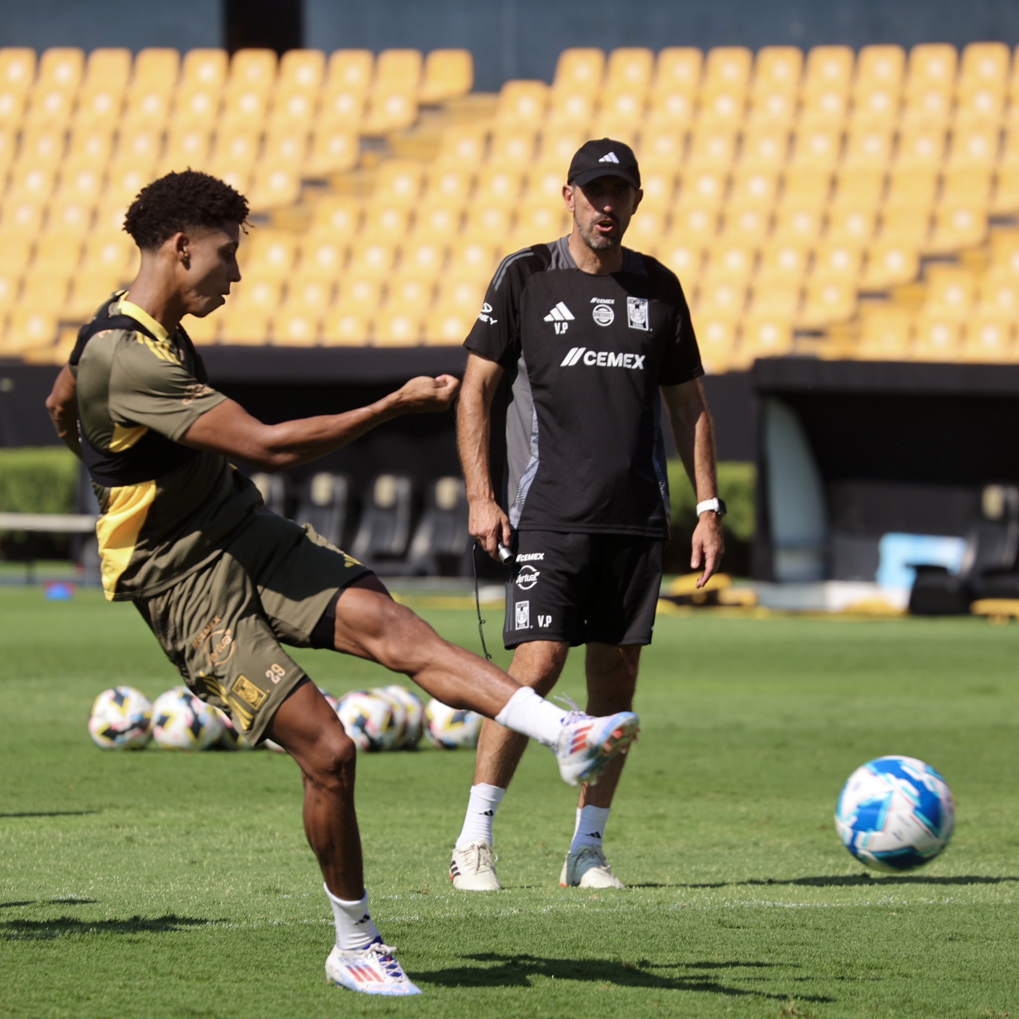 PAUNOVIC YA SUPERÓ AL “TUCA” EN TIGRES