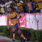 LAS SUBS DE TIGRES SE IMPONEN A LA FIERA