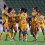 TIGRES TIENE PASO DE RÉCORD DEFENSIVO