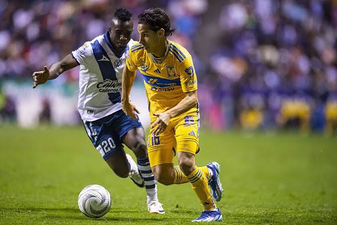 LA PREVIA DEL TIGRES VS PUEBLA