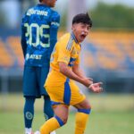 VA TIGRES POR LA HAZAÑA