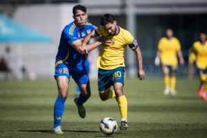 ¿CÓMO LE FUE A LAS SUBS DE TIGRES?