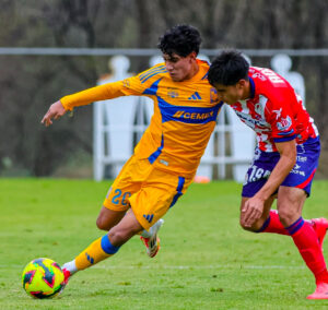 TRIUNFO Y DERROTA PARA LAS SUBS DE TIGRES