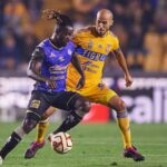 PAR DE LESIONADOS EN TIGRES