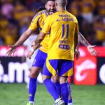 SE ACERCA EL PRIMER REFUERZO DE TIGRES