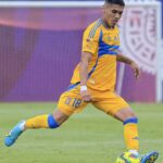 SE ACERCA EL PRIMER REFUERZO DE TIGRES