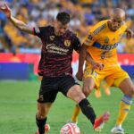 CADA VEZ MÁS CERCA DE TIGRES