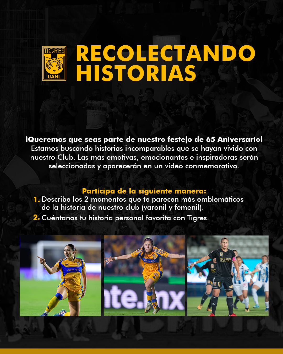 EN BUSCA DE HISTORIAS INCOMPARABLES