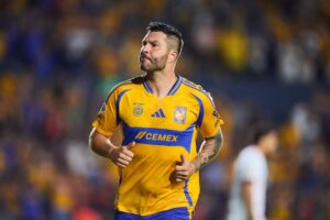 TIGRES SE CONVIRTIÓ EN UN HOSPITAL