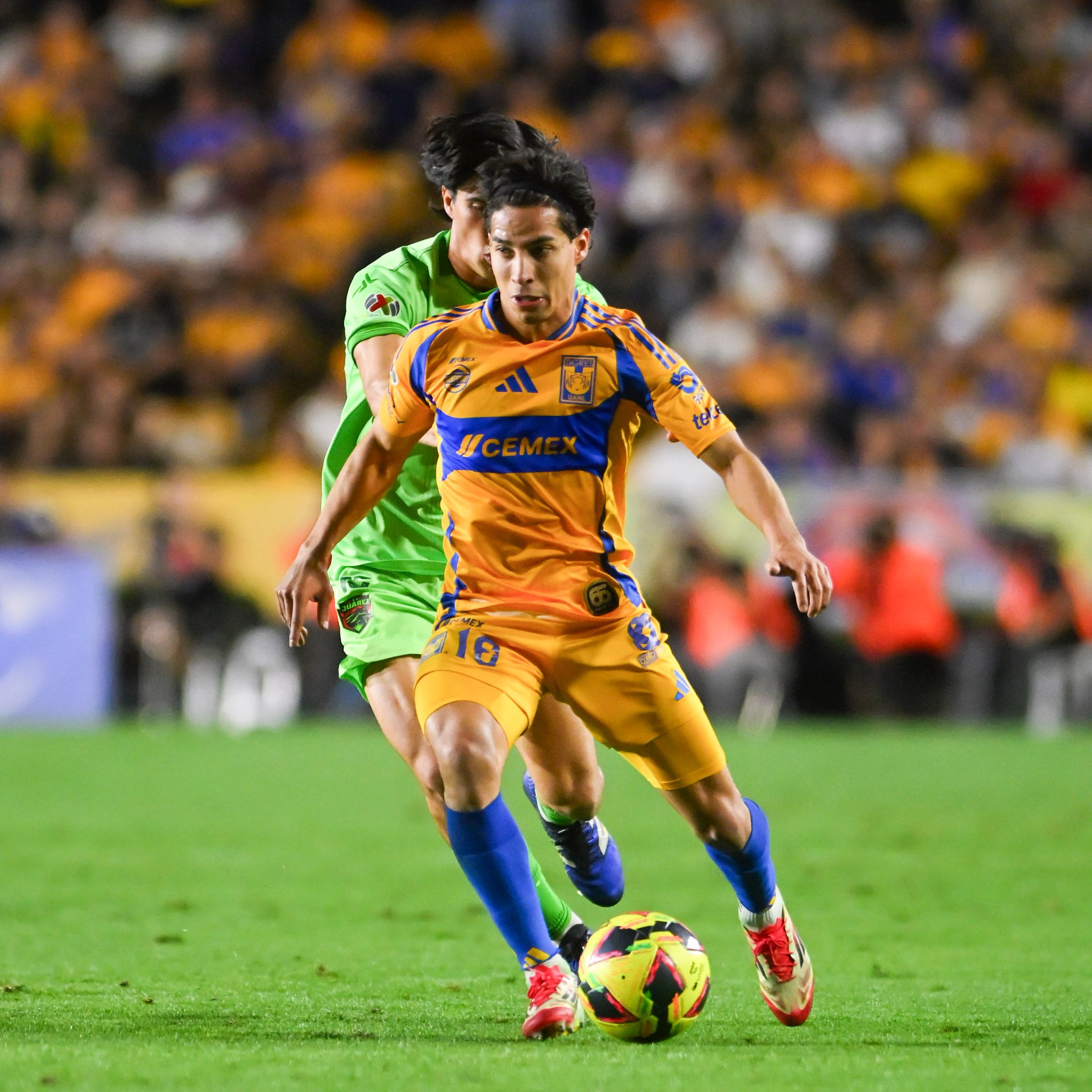 TIGRES RECUPERA A MÁS LESIONADOS