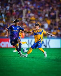 RUGIDO CON DESTINO A SEMIS