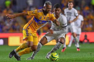 YA PIENSAN EN PUMAS